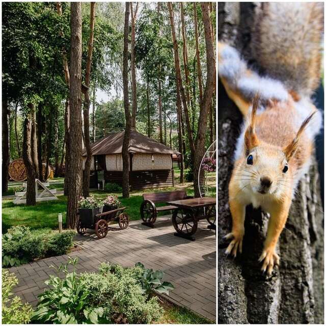 Гостиница Грин Парк Новозыбков-14